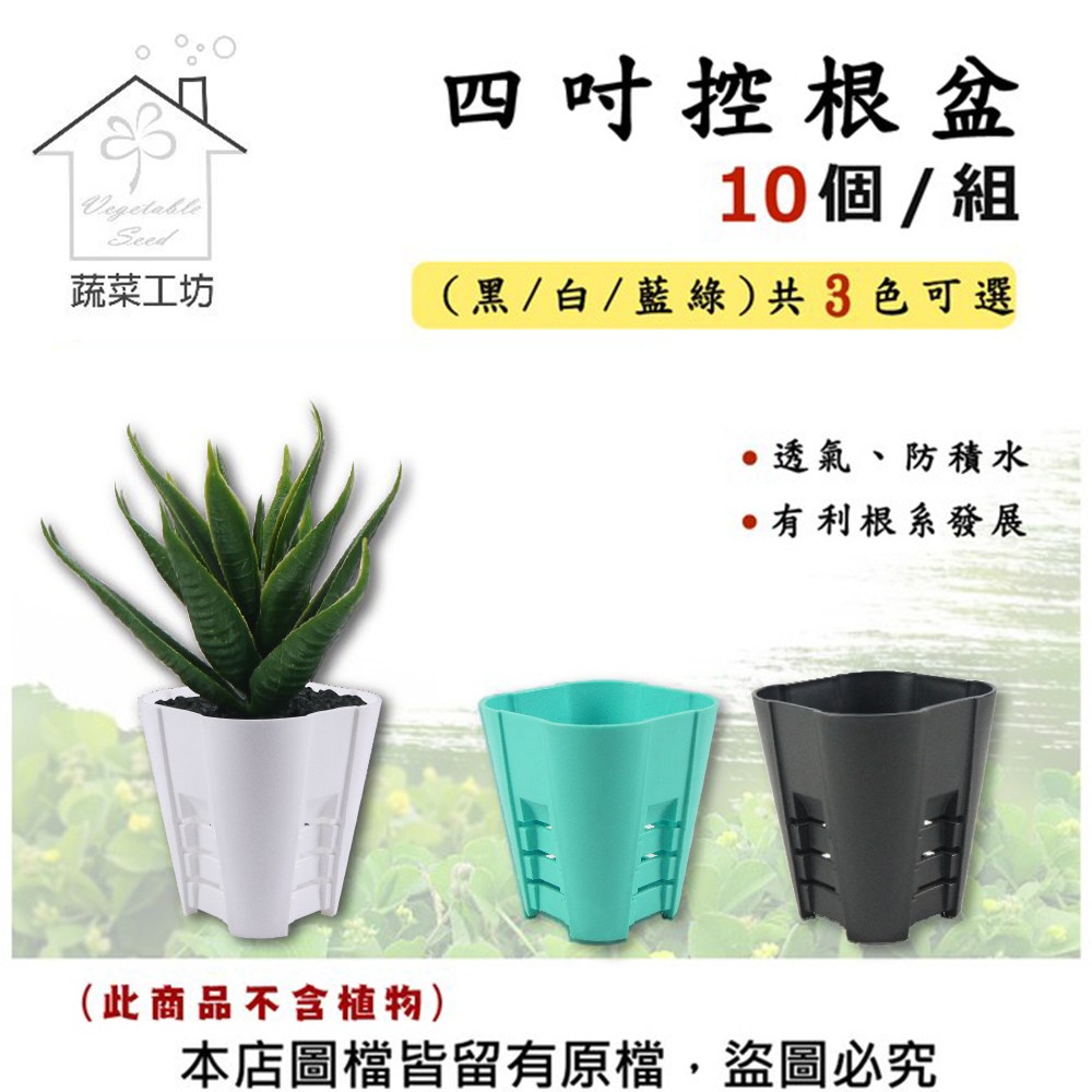 蔬菜工坊】4吋控根盆10個/組(黑色/白色/藍綠色三色可選)黑色｜園藝休閒
