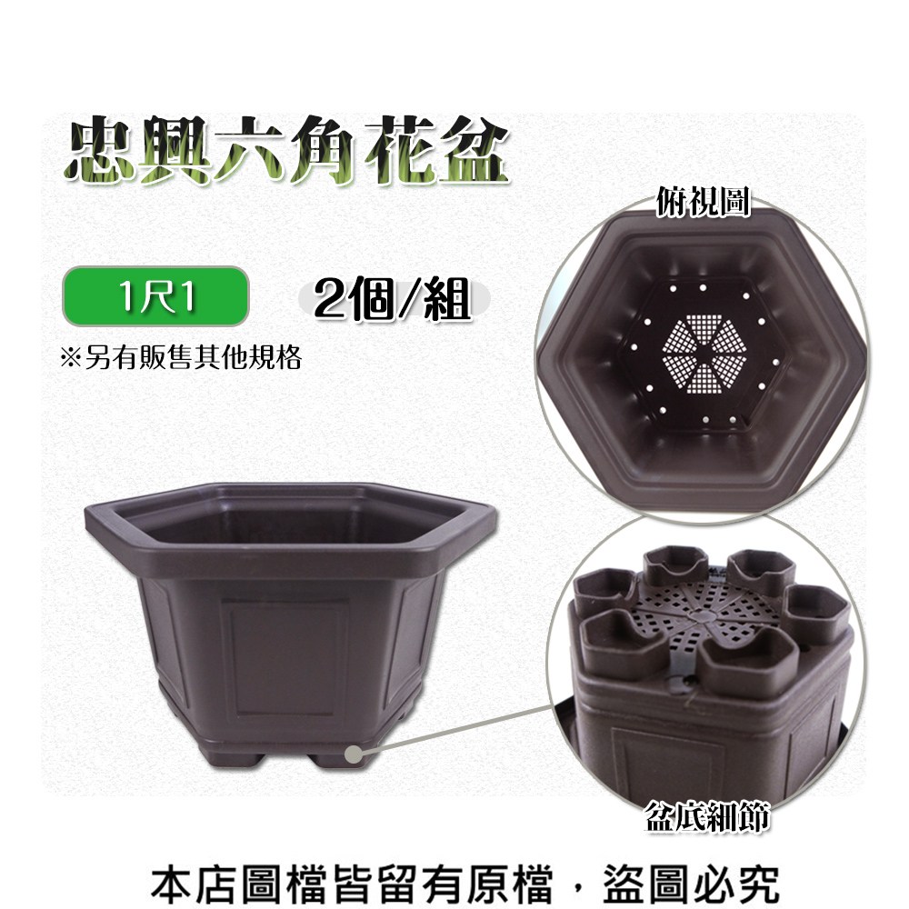 仁城義勝 尺一寸盆 蔬菜工坊】忠興六角花盆1尺1-2個/組(加厚材質)｜園藝休閒｜特力屋