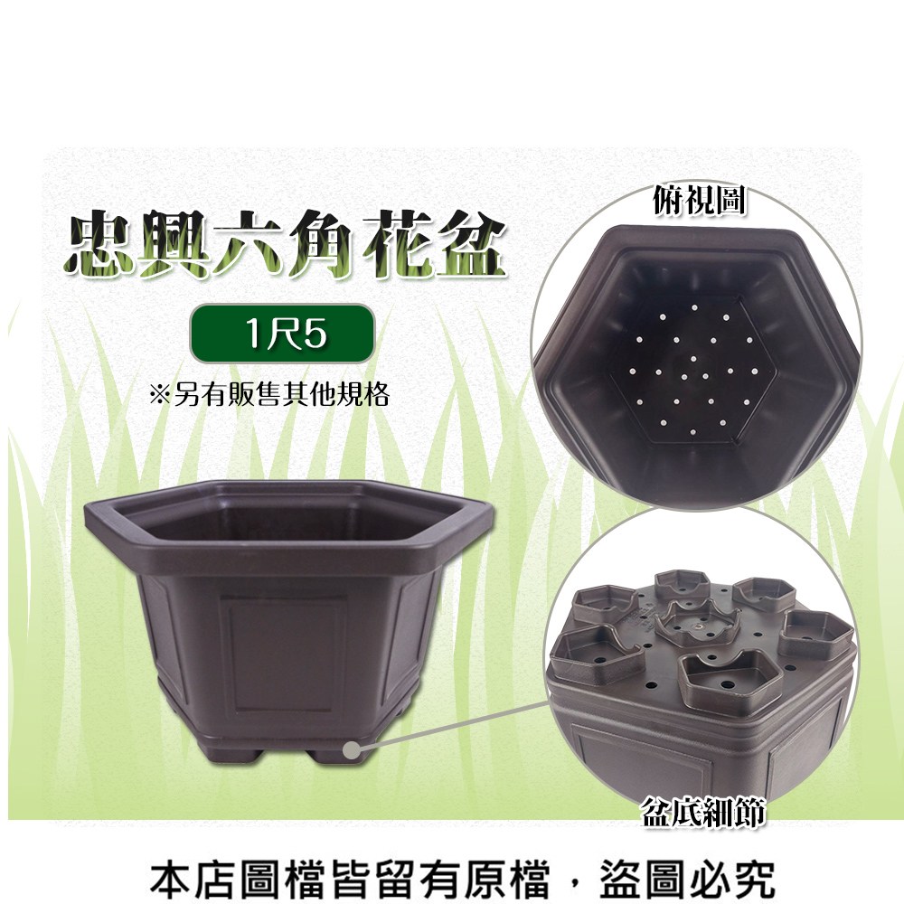 蔬菜工坊】忠興六角花盆1尺5(加厚材質)｜園藝休閒｜特力屋．特力屋線上購物